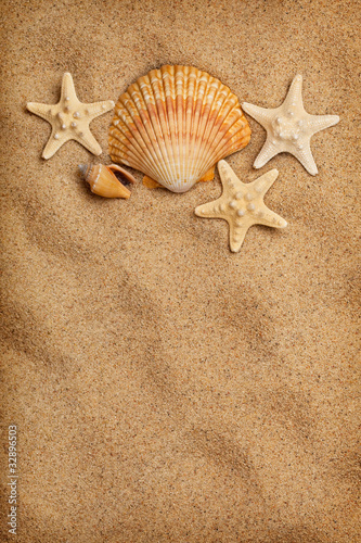 Sea life and beach - summer background