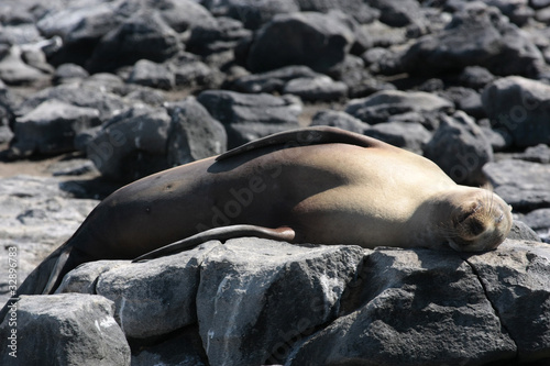 Islas Plazas,Galapagos Ecuador