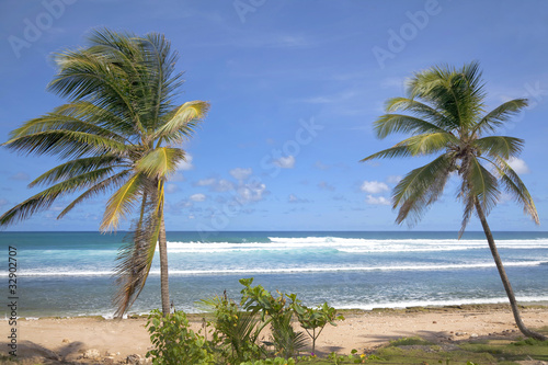 Fototapeta Naklejka Na Ścianę i Meble -  Bathsheba Beach, Barbados