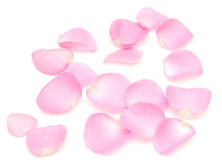 rose petals border