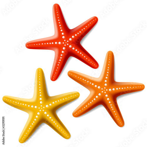 Three starfishes on white