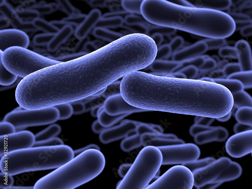 Escherichia coli Bakterium