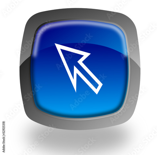 Cursor button