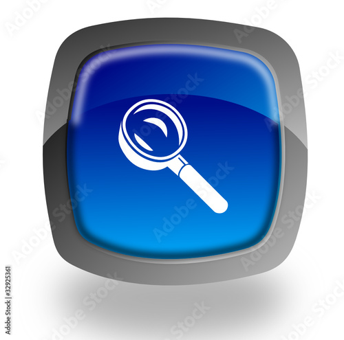 Search button