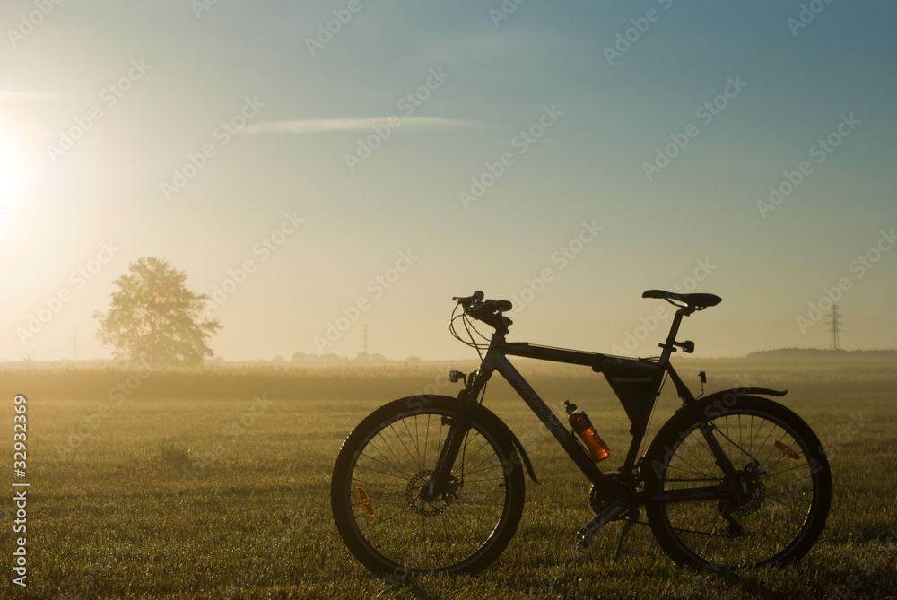 bike bike