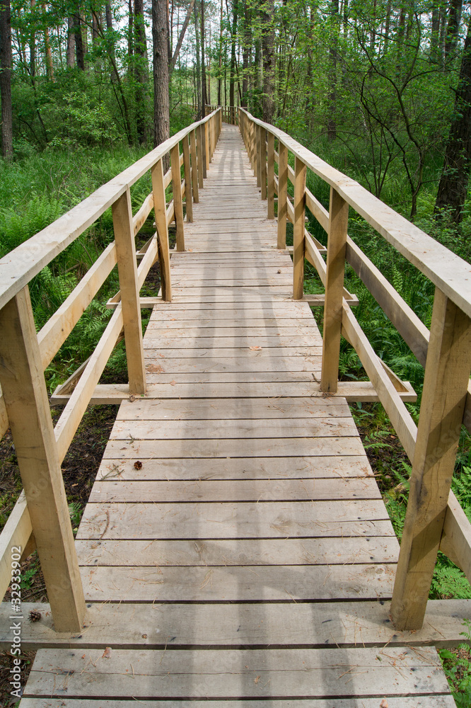 Footbridge over the swamp Footbridge over the swamp