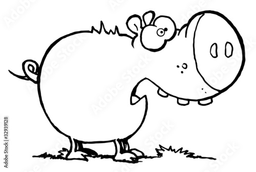 Chubby Pig Eating Grass Scared Pig With An Open Mouth