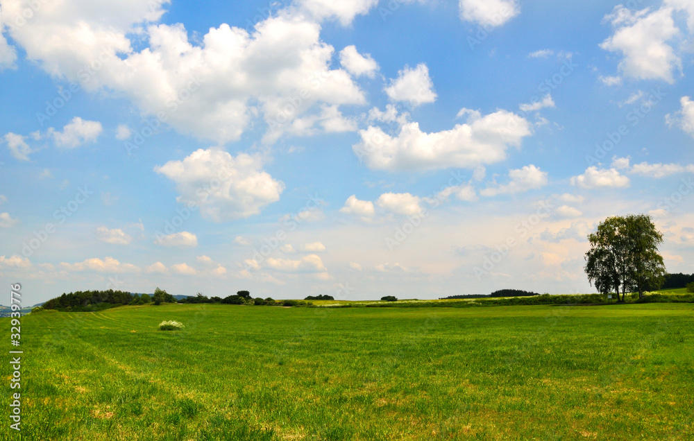 Meadow with white clouds on blue sky Meadow with white clouds on blue sky