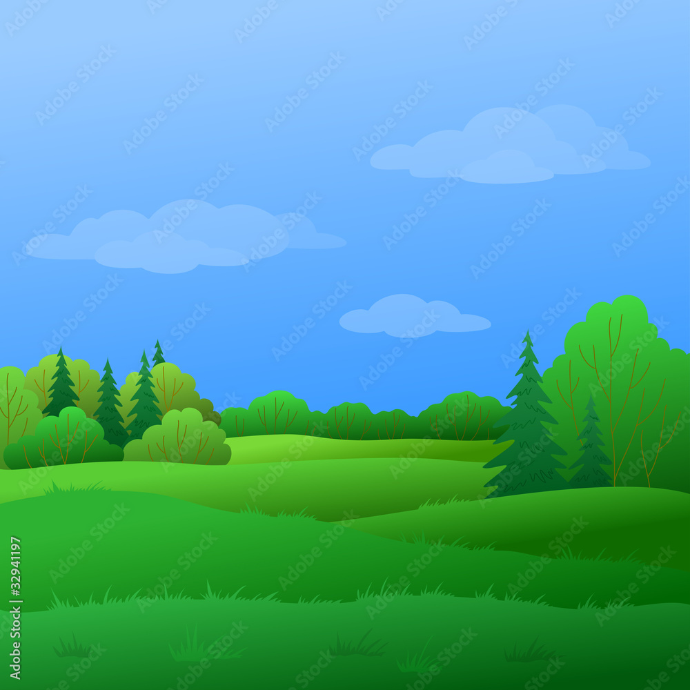 Obraz premium Landscape, summer forest