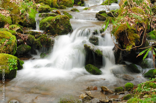 Mountain creek in the early spring