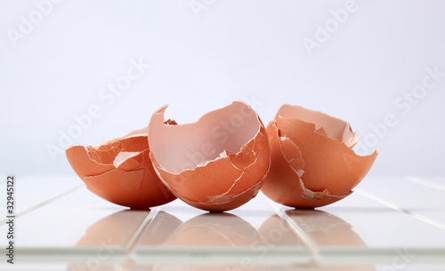 Empty egg shells