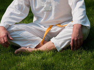 Ingelijste posters Vechtsport Taekwondo trap in actiepose  © arinahabich