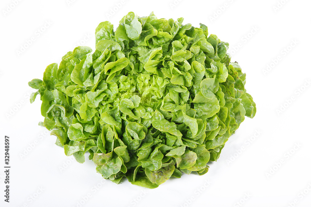 Kopfsalat closeup Kopfsalat closeup