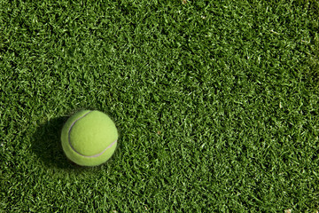 Tennis ball