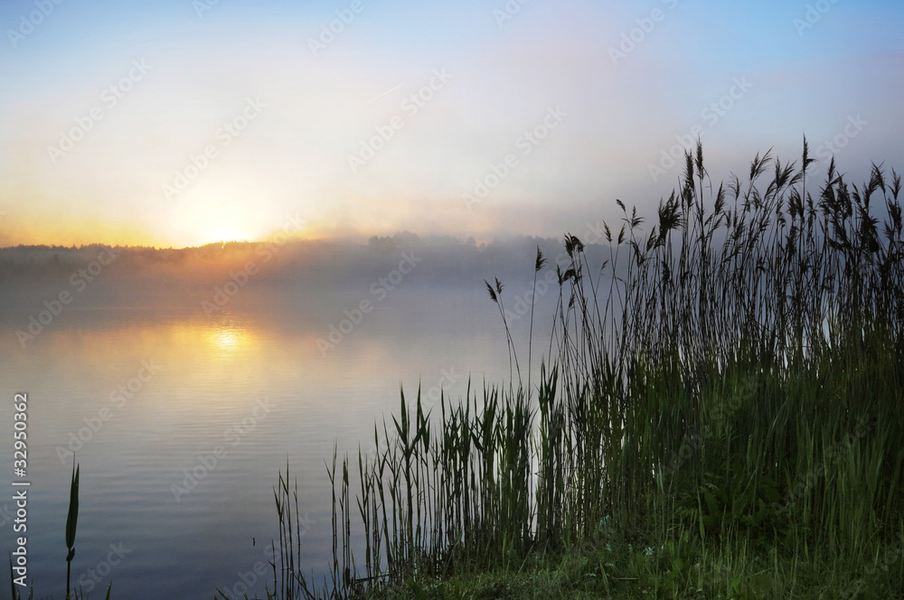 Rural scene on sunset