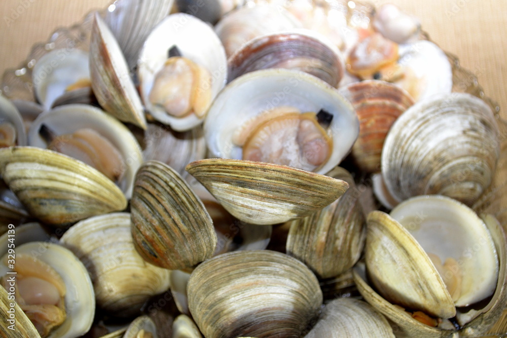Many Steamers Many Steamers