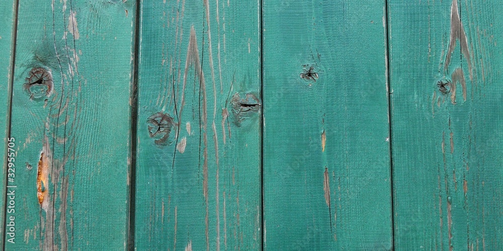 Fototapeta premium Wood