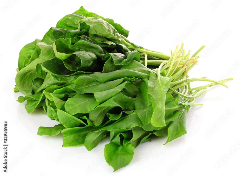 Fresh leaves of a sorrel on a white background Fresh leaves of a sorrel on a white background