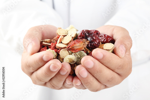Obraz na plátně Doctor holding handful of Chinese traditional herbal medicine.