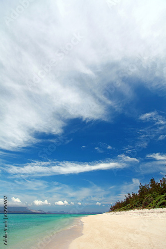 Fototapeta Naklejka Na Ścianę i Meble -  美しい大きな白い雲