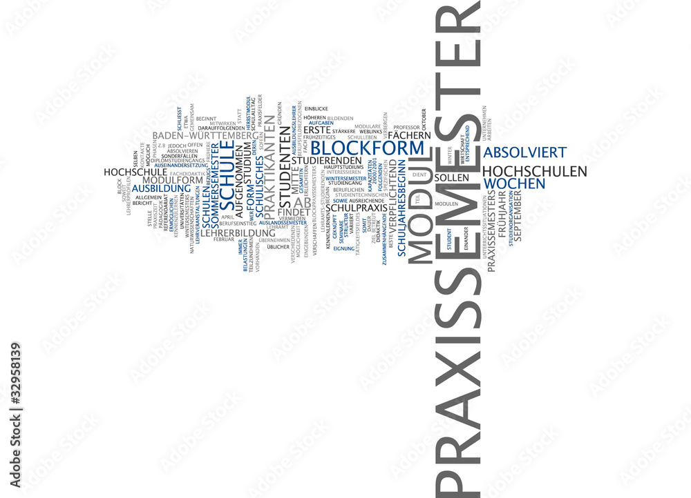 Praxissemester Praxissemester