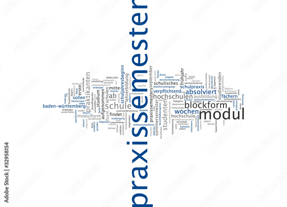 Praxissemester Praxissemester