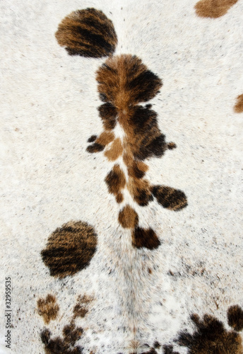animal fur