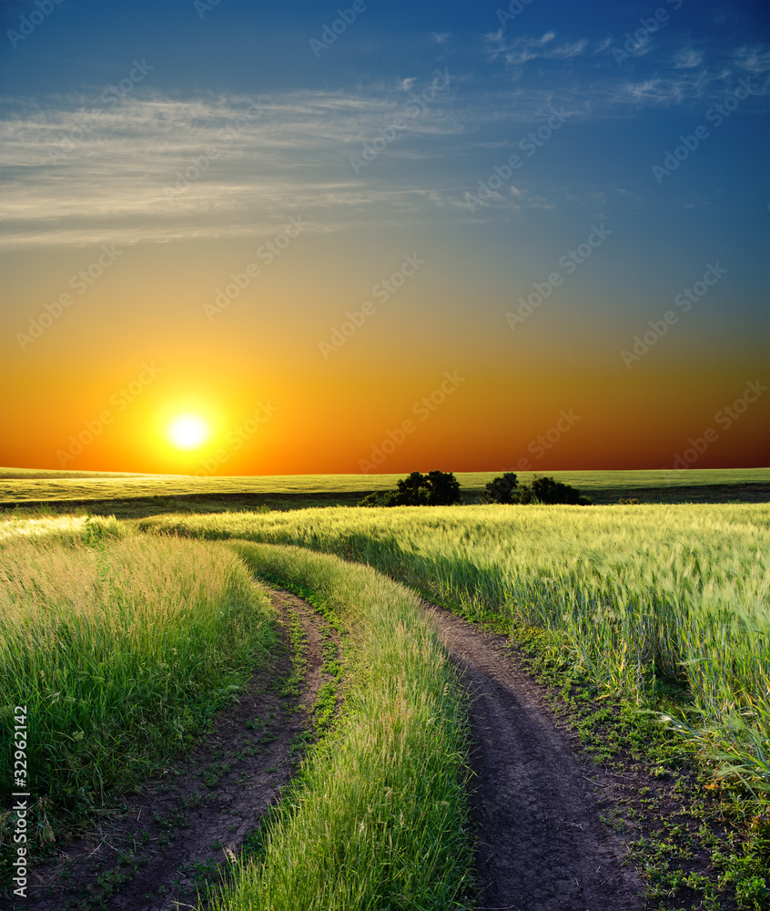 Obraz premium sunset over rural road