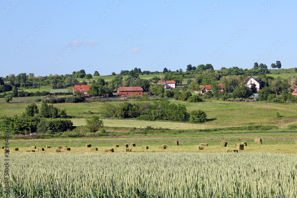 Obraz premium Village