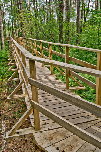 Footbridge over the swamp 2