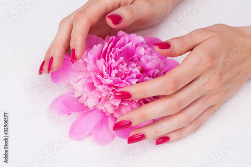 Woman hands with manicure touching pink flower