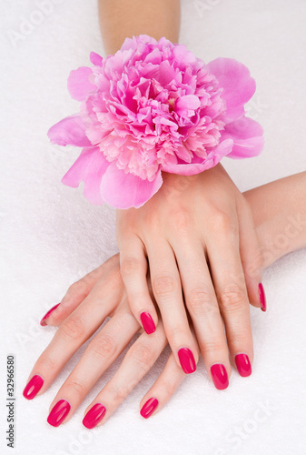 Top view of woman hands with pink manicure and flower