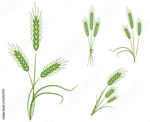 Wheat icons