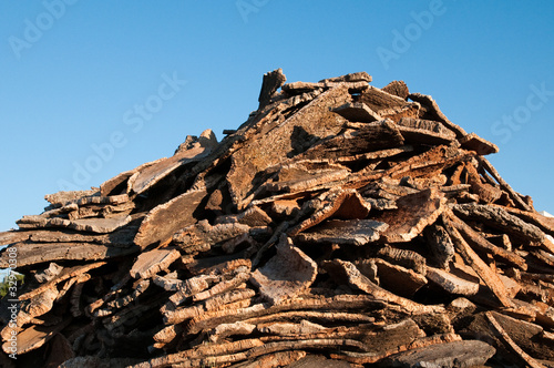 Cork wood slices in Sardinia, Italy