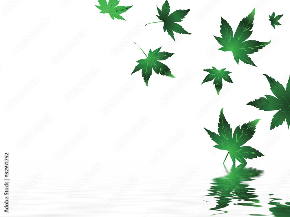 Obraz premium Herbstlaub