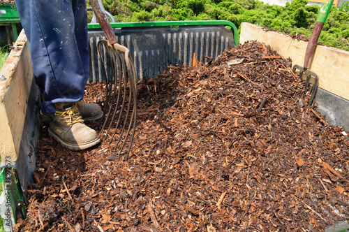 Wallpaper Mural Garden Mulch in back of trailer Torontodigital.ca