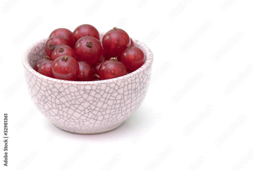 red currant red currant