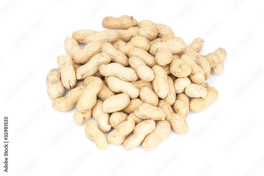 Peanut Peanut