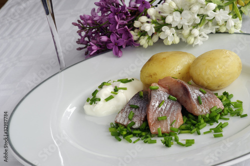 Pickled herring
