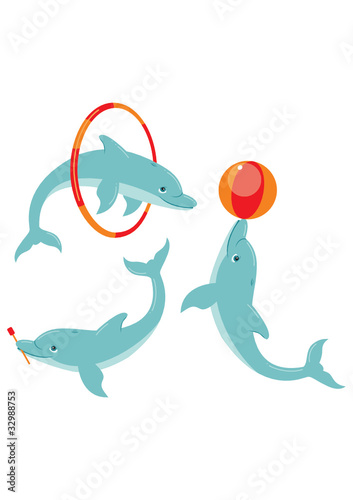 Playful dolphins