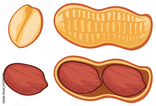 peanut