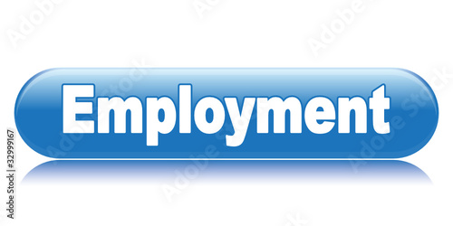 EMPLOYMENT ICON