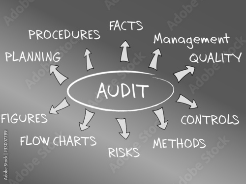 Das Konzept des Management Audits