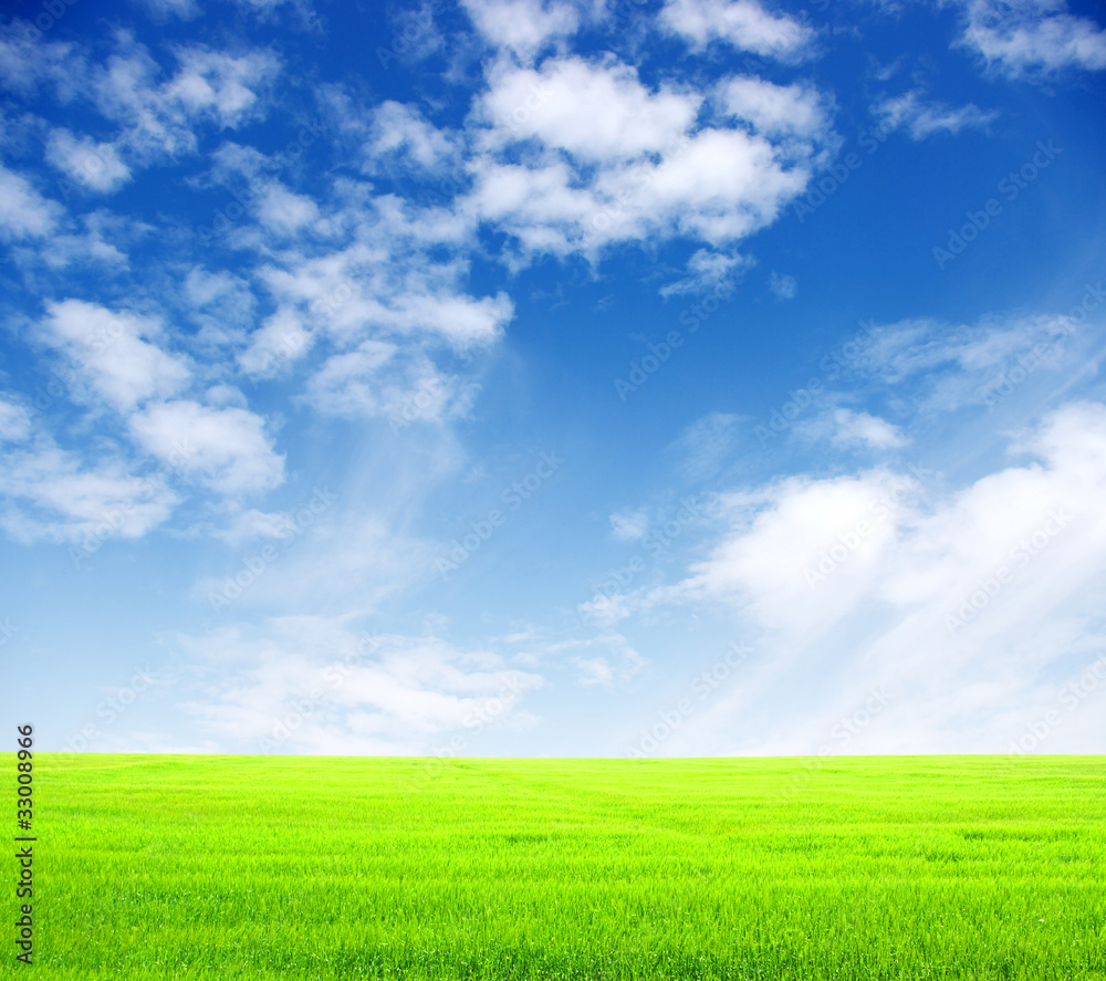 field field