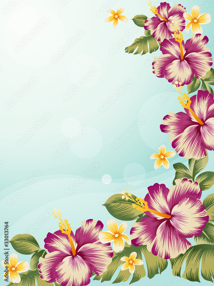 hibiscus_02 hibiscus_02