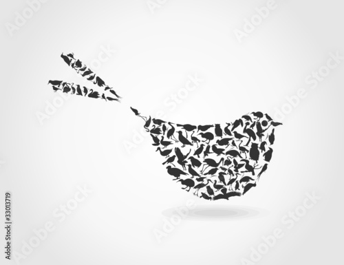 bird6