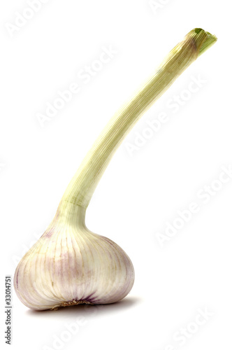 Garlic photo