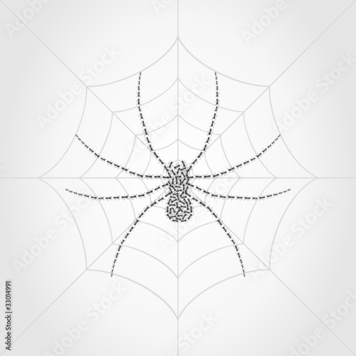 Spider4