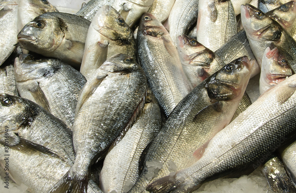 Obraz premium Fresh fishes on a market stall