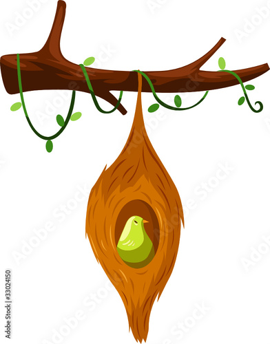 Bird and nest